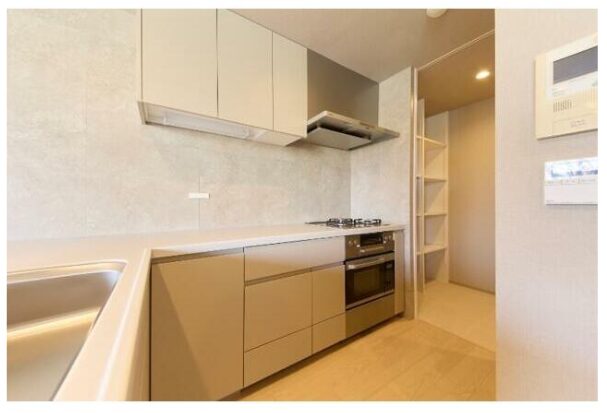 リフォーム リノベーション 参考 物件 不動産 賃貸 マンション フルリノベーション 中古マンション 東京都 世田谷区 3SLDK 3LDK