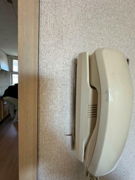 八王子市 暁町 1DK アパート 独立洗面台 ペット 猫 可能 相談 賃貸 物件 不動産 一人暮らし 1人暮らし